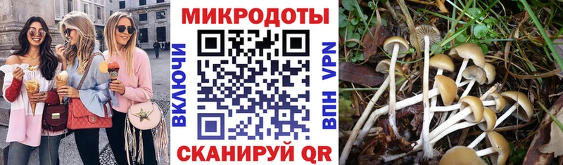 мориарти как зайти Светогорск Галлюциногенные грибы MAGIC MUSHROOMS
