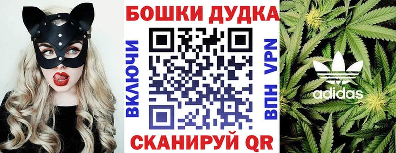 МАРИХУАНА планчик  где купить наркотик  Светогорск 